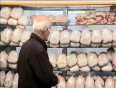 گزارش اقتصادی :گلستان؛ قطب تولید مرغ کشور، گرفتار در تلاطم قیمت‌ها و سفره‌های کوچک مردم / ازابراهیم حاتمی فعال رسانه ای کشور
