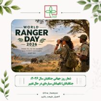 یادداشت /شعار روز جهانی جنگلبان سال ۲۰۲۶: «جنگلبانان؛ نگهبانان سیاره‌ای در حال تغییر»